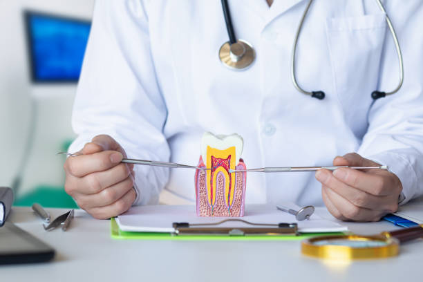 Best Weekend Emergency Dentist in Van Alstyne, TX